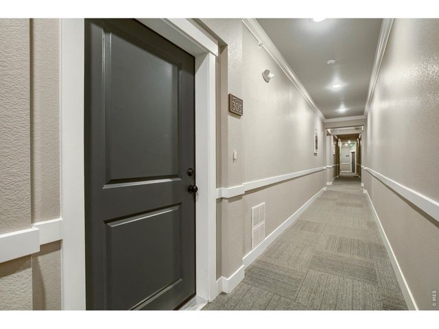 4780 Hahns Peak Dr 305, Loveland, CO 80538