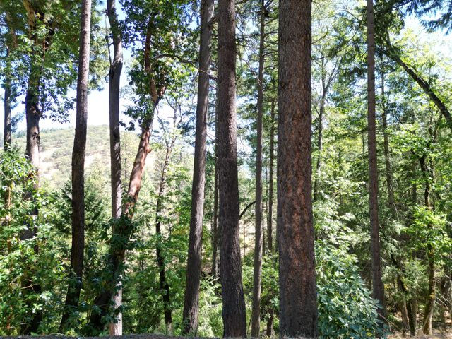 4712 Old Highway 99 S, Ashland, OR 97520