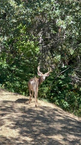 4712 Old Highway 99 S, Ashland, OR 97520