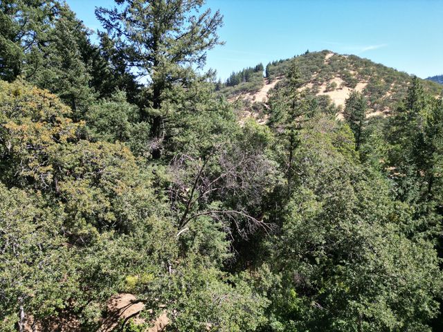4712 Old Highway 99 S, Ashland, OR 97520
