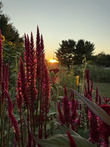 8863 W Pq Avenue, Mattawan, MI 49071