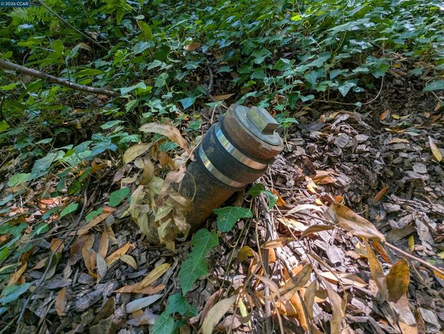 0 Cañon Dr, Orinda, CA 94563