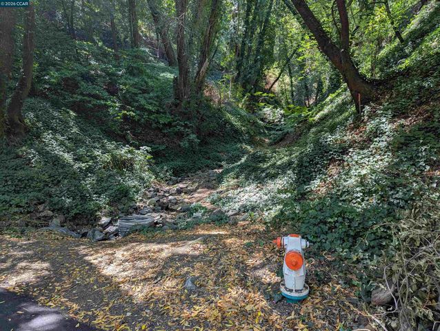 0 Cañon Dr, Orinda, CA 94563