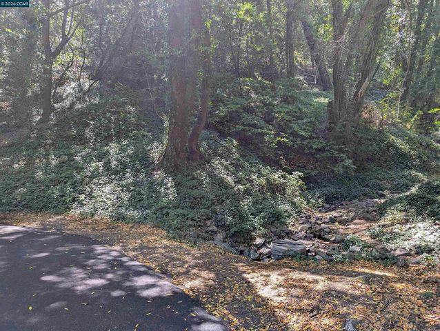0 Cañon Dr, Orinda, CA 94563