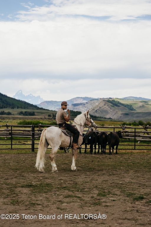 24700 E COTTONWOOD CREEK Road, Kelly, WY 83011 photo 39