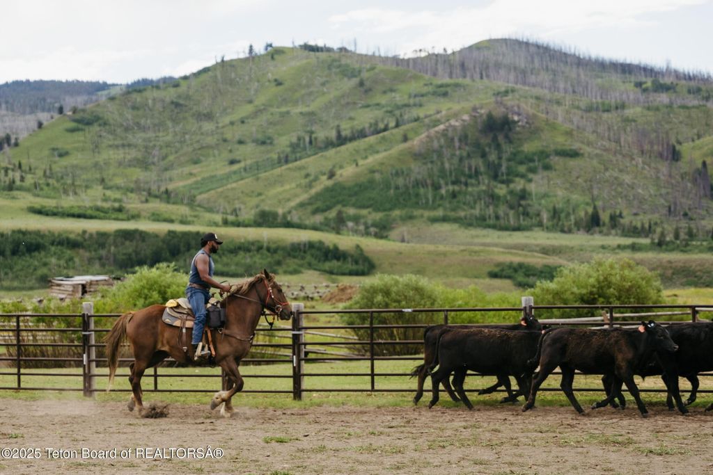 24700 E COTTONWOOD CREEK Road, Kelly, WY 83011 photo 40