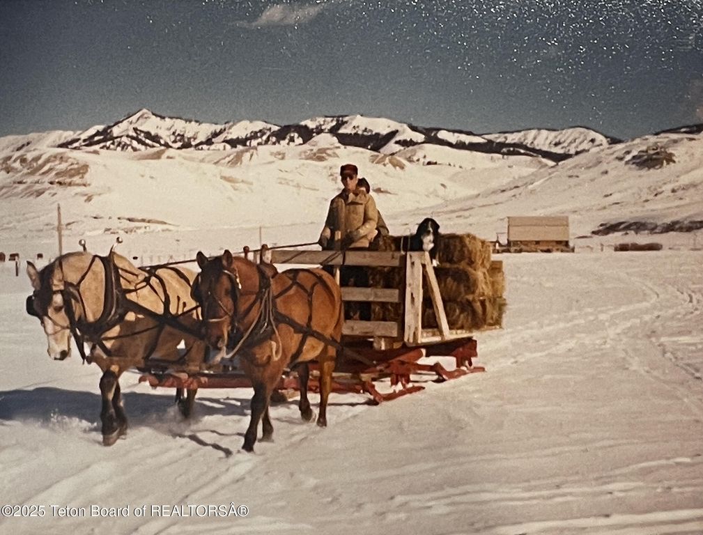 24700 E COTTONWOOD CREEK Road, Kelly, WY 83011 photo 51