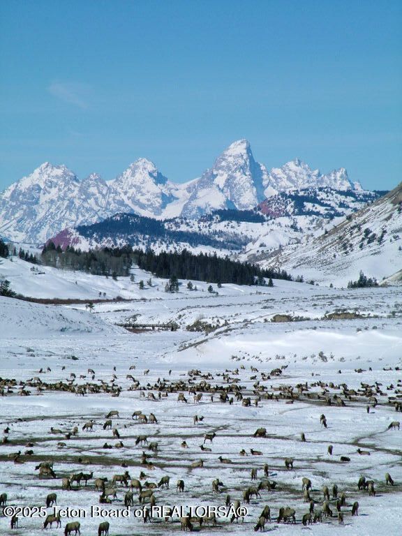 24700 E COTTONWOOD CREEK Road, Kelly, WY 83011 photo 63
