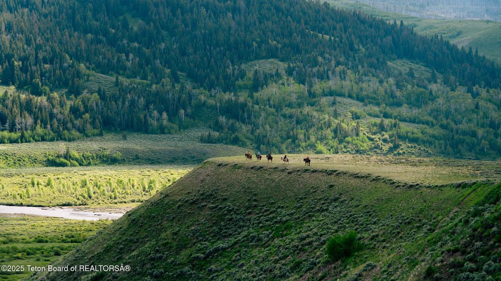 24700 E COTTONWOOD CREEK Road, Kelly, WY 83011 photo 7