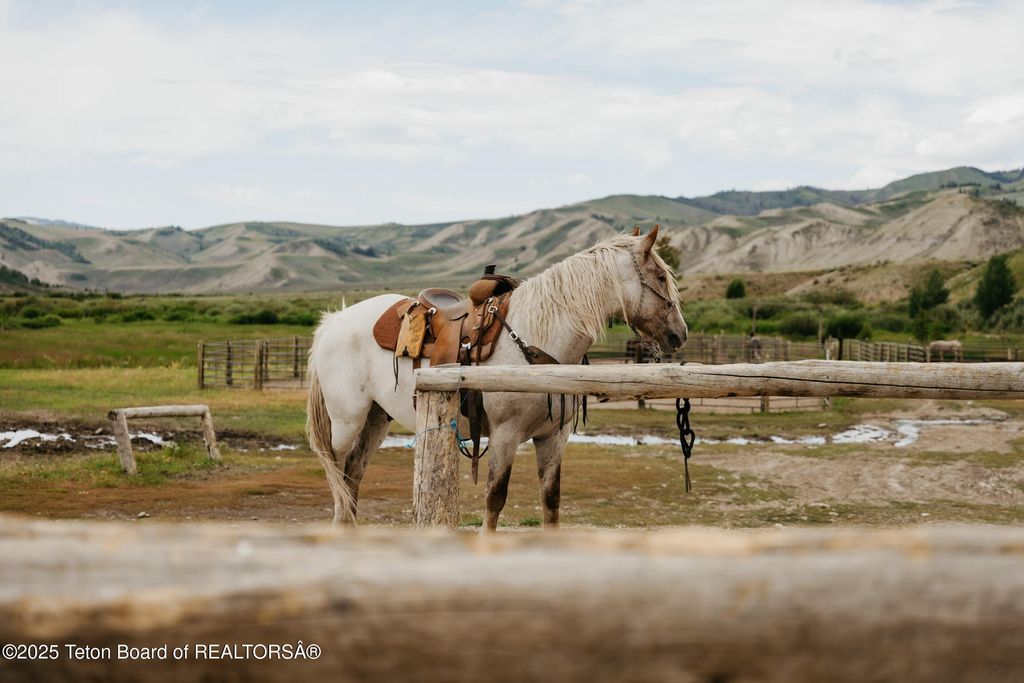 24700 E COTTONWOOD CREEK Road, Kelly, WY 83011 photo 9