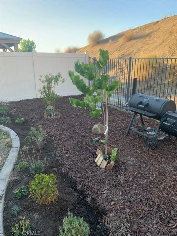 24526 Snapdragon Way, Lake Elsinore, CA 92532