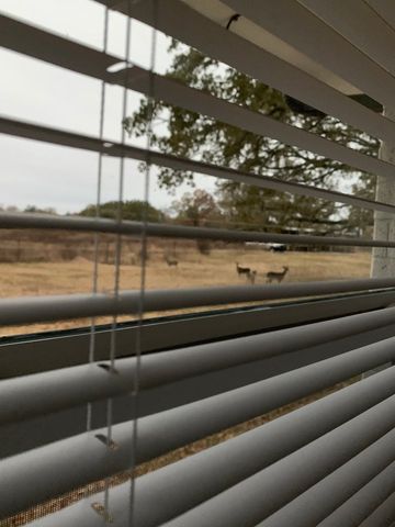 11311 Farm Road 197, Arthur City, TX 75411