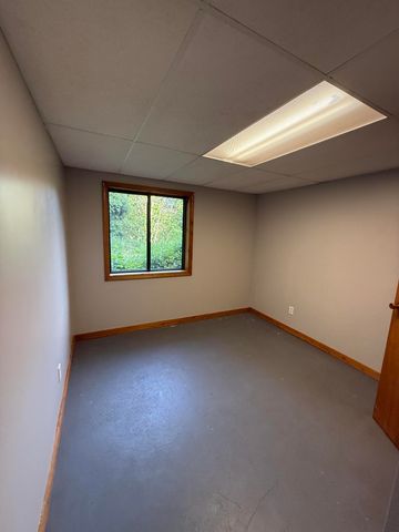 11229 W Snows Lake Road, Greenville, MI 48838