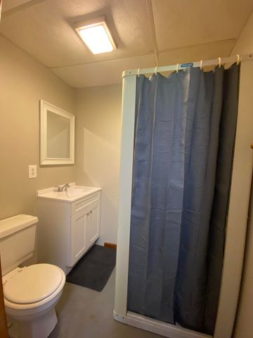 11229 W Snows Lake Road, Greenville, MI 48838
