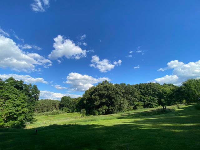 11229 W Snows Lake Road, Greenville, MI 48838
