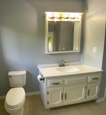 11229 W Snows Lake Road, Greenville, MI 48838