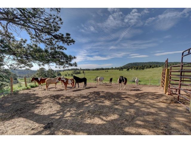 779 Kinnikinnik Hl, Golden, CO 80401