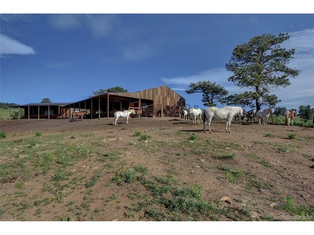 779 Kinnikinnik Hl, Golden, CO 80401