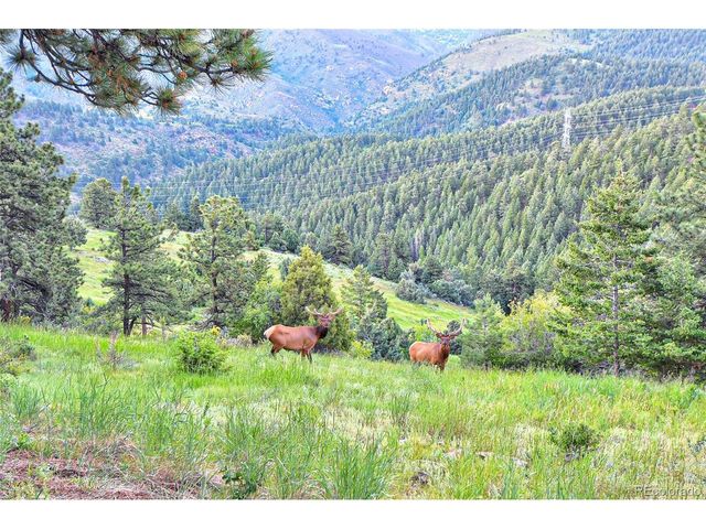 779 Kinnikinnik Hl, Golden, CO 80401