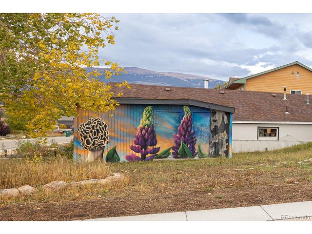 120 Norgren Rd A B C, Fraser, CO 80442