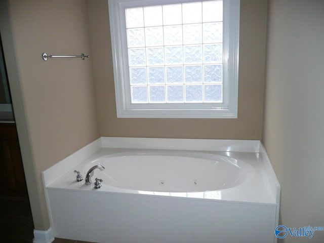 161 Autumn Branch Drive, Madison, AL 35757