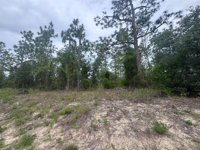 0 SW EGDEWATER BOULEVARD, Dunnellon, FL 34431