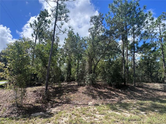 0 SW EGDEWATER BOULEVARD, Dunnellon, FL 34431