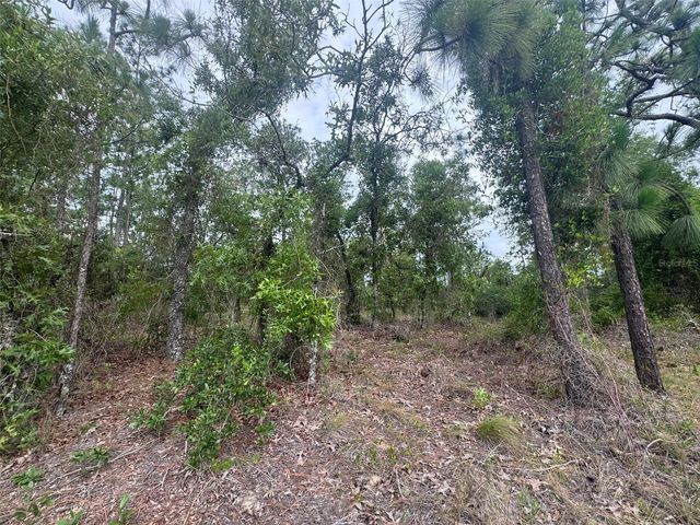 0 SW EGDEWATER BOULEVARD, Dunnellon, FL 34431