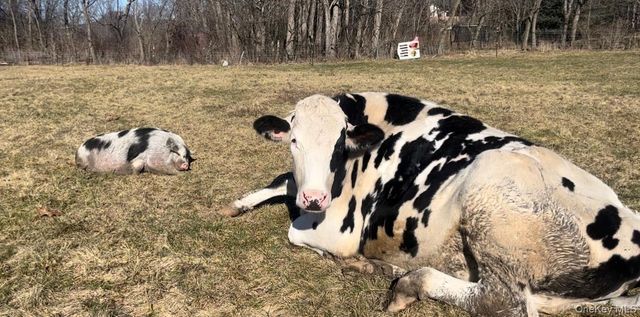 315 Bellvale Lakes Road, Warwick, NY 10990