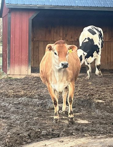 315 Bellvale Lakes Road, Warwick, NY 10990