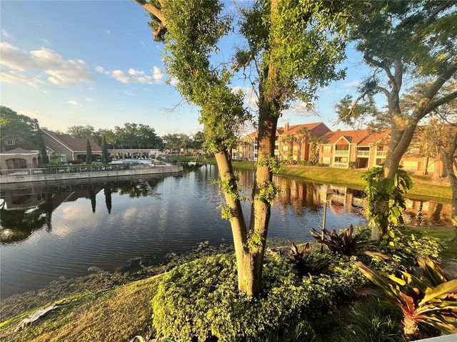10200 GANDY BOULEVARD N 1229, St Petersburg, FL 33702