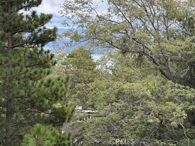 114 Old Toll Road, Lake Arrowhead, CA 92317