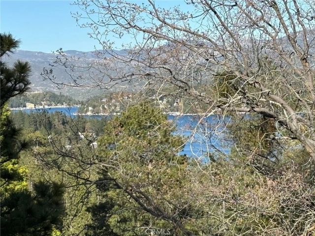 114 Old Toll Road, Lake Arrowhead, CA 92317