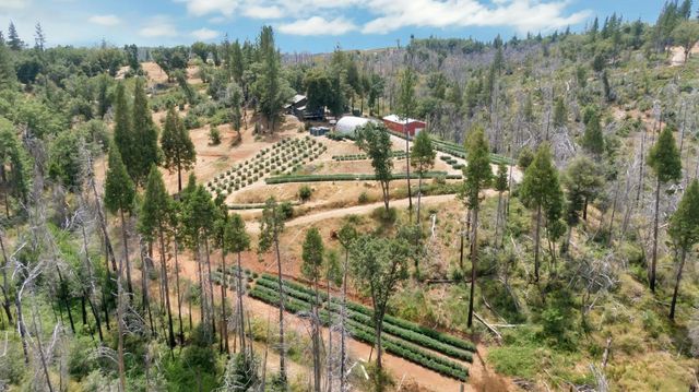 6640 Railroad Flat Rd, Mountain Ranch, CA 95246