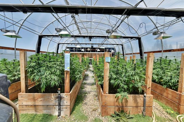 6640 Railroad Flat Rd, Mountain Ranch, CA 95246