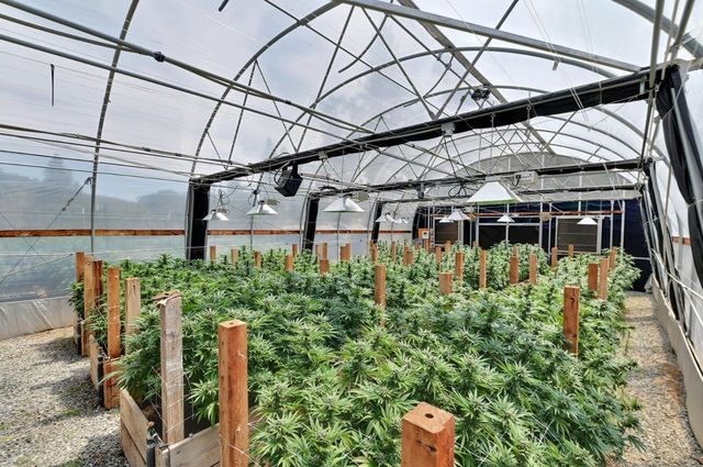 6640 Railroad Flat Rd, Mountain Ranch, CA 95246