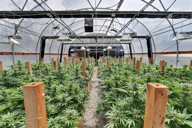 6640 Railroad Flat Rd, Mountain Ranch, CA 95246