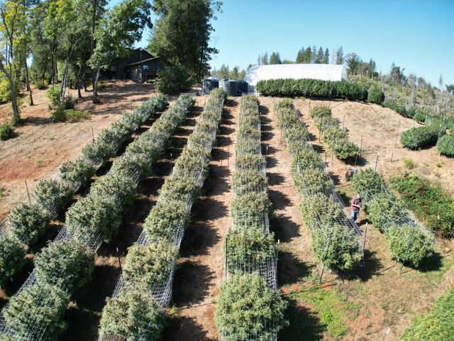 6640 Railroad Flat Rd, Mountain Ranch, CA 95246