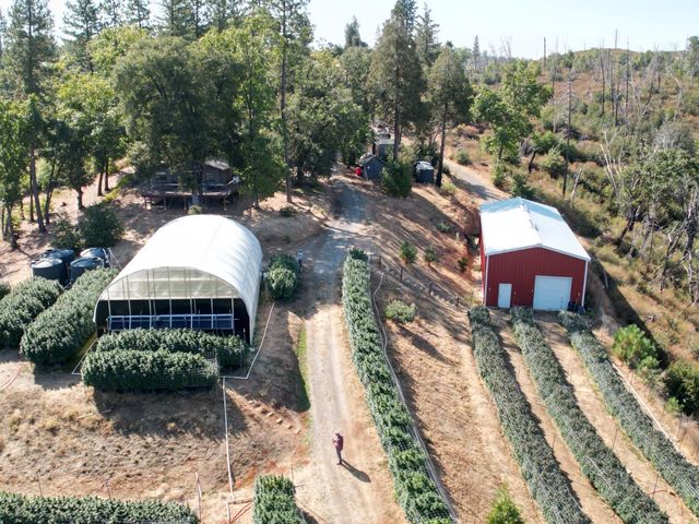 6640 Railroad Flat Rd, Mountain Ranch, CA 95246
