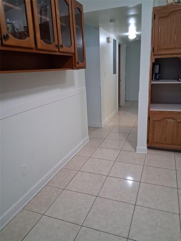 924 LAKEWOOD AVENUE, Tampa, FL 33613