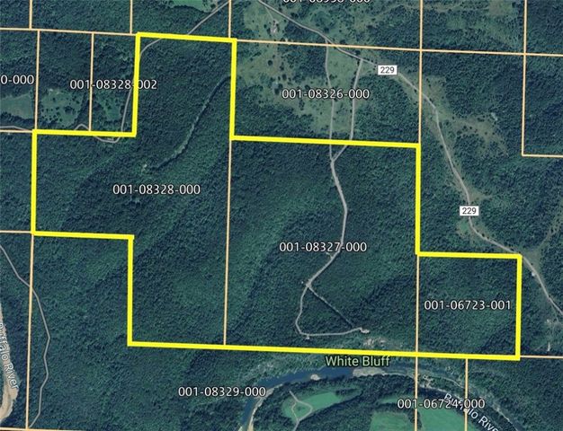 1021 Margaret White Bluff Road, St. Joe, AR 72675