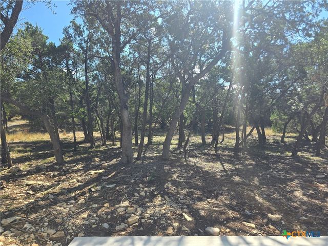 1221 Lasso Loop, Canyon Lake, TX 78133