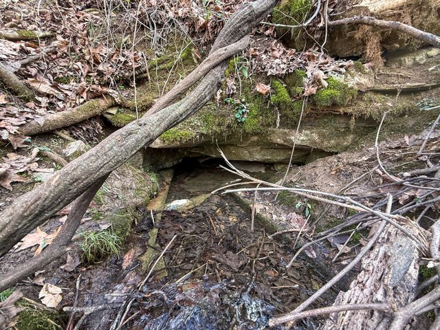 0 Carr Creek Road, Normandy, TN 37360