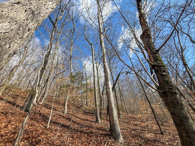 0 Carr Creek Road, Normandy, TN 37360