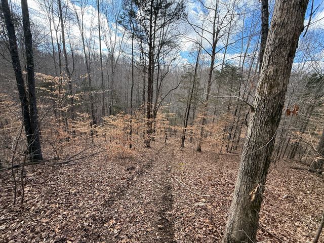 0 Carr Creek Road, Normandy, TN 37360