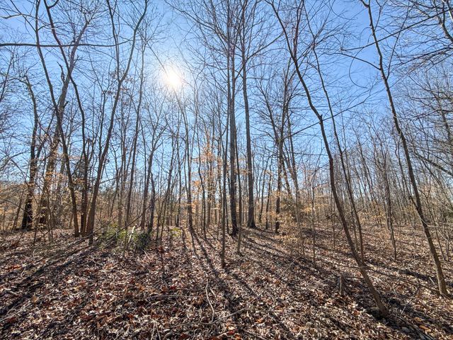 0 Carr Creek Road, Normandy, TN 37360