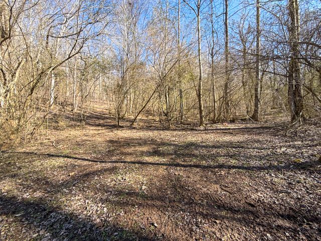 0 Carr Creek Road, Normandy, TN 37360