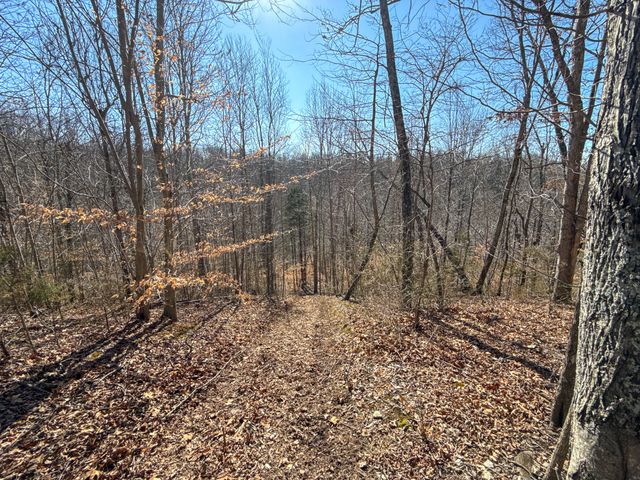 0 Carr Creek Road, Normandy, TN 37360