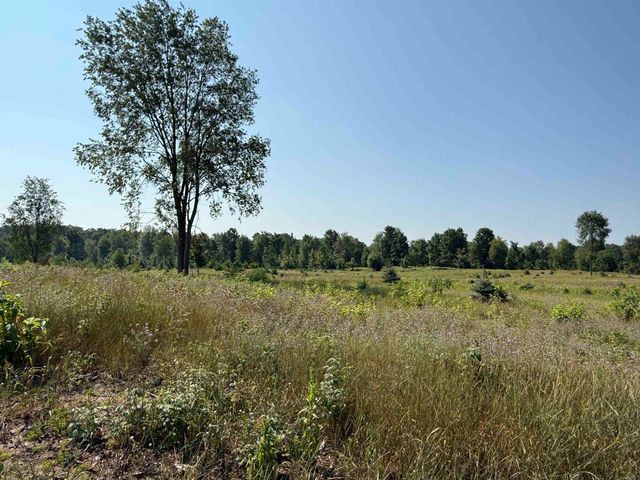 Parcel A7 S Bright Road, Kasson Twp, MI 49664