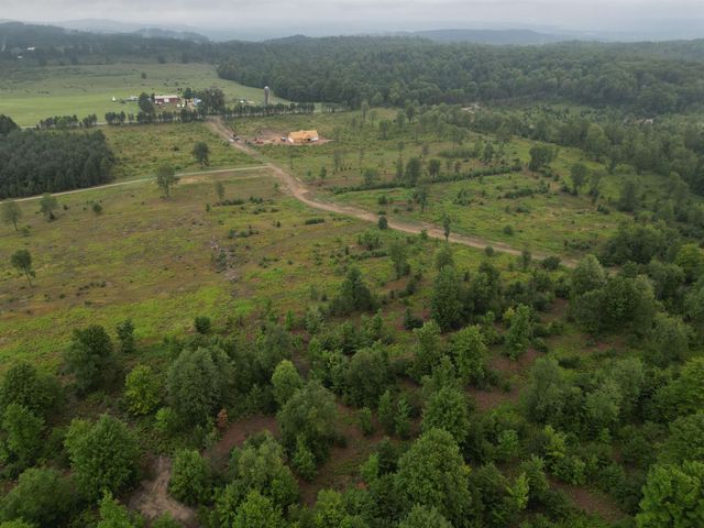 Parcel A7 S Bright Road, Kasson Twp, MI 49664